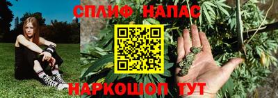 дживик Донской