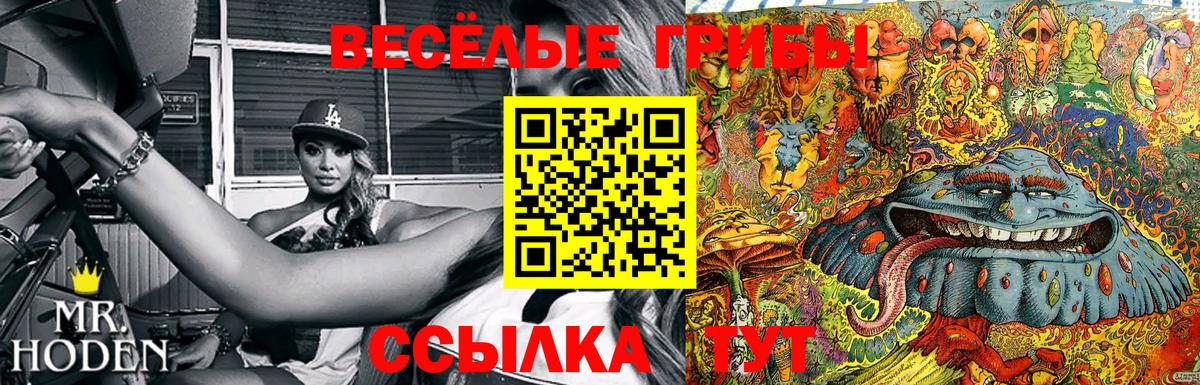 Галлюциногенные грибы мухоморы Минеральные Воды